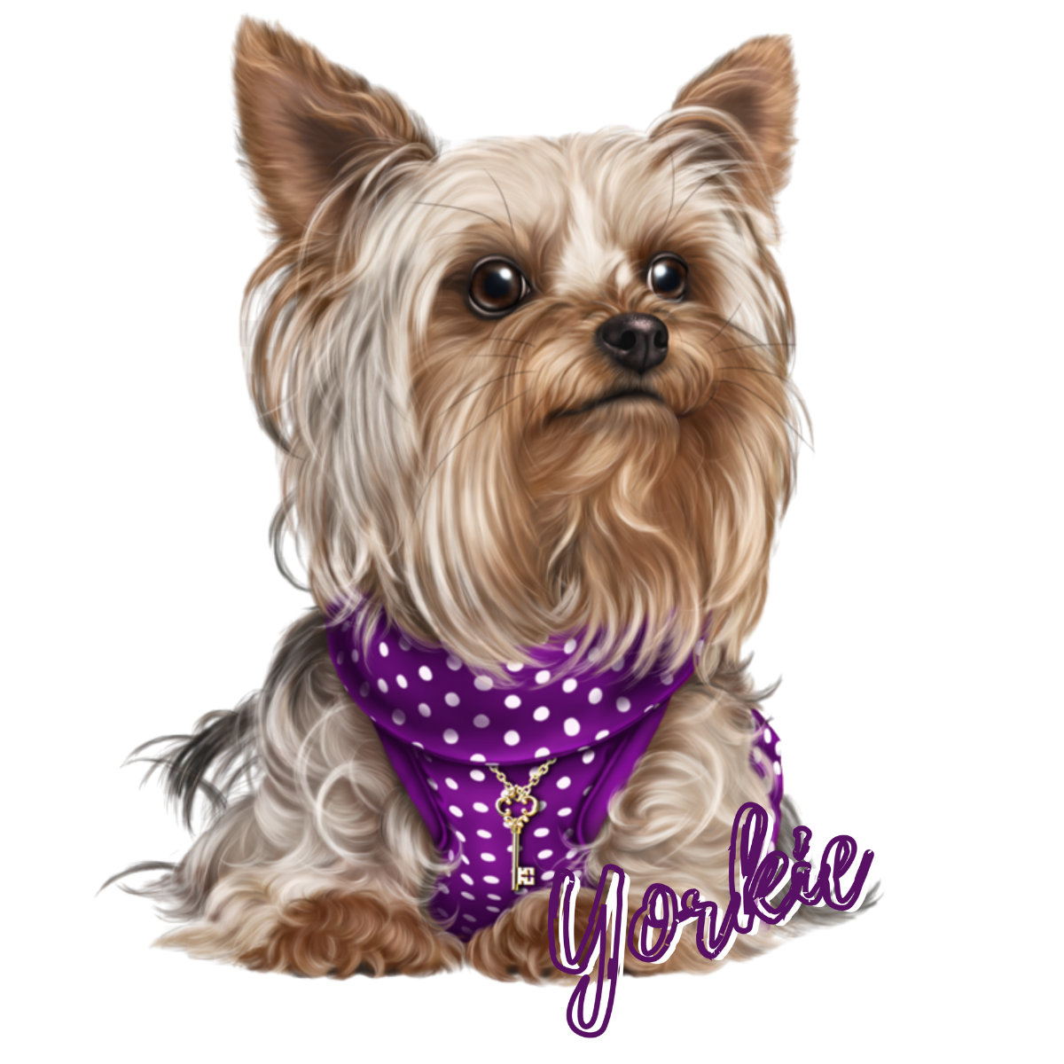 All about Yorkies Vinyl Heat Transfers